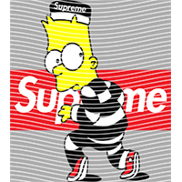 Brand Catalog-ZX 996